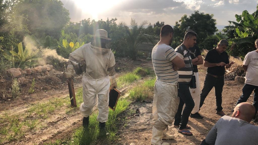 Training in the field, learning about queen and hive health.