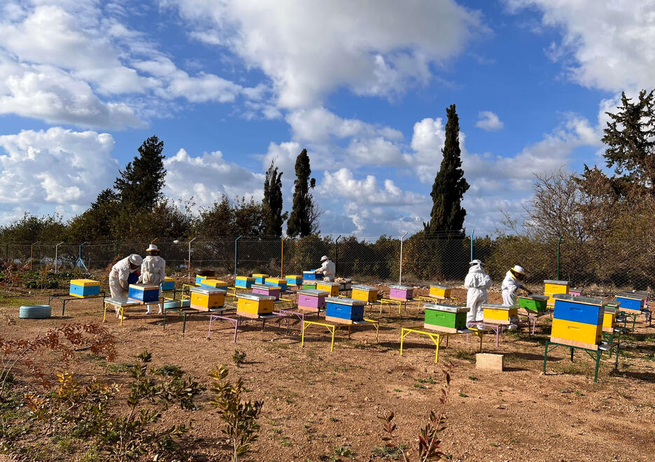 Some of the By Bee community feeding the bees in anticipation for a busy Spring season.